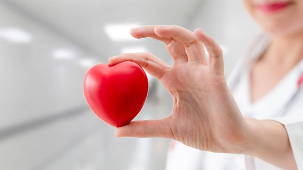 Docteur tenant un cœur rouge au bureau de l'hôpital. Concept de soins médicaux et de services du personnel médical
. - Photo, image