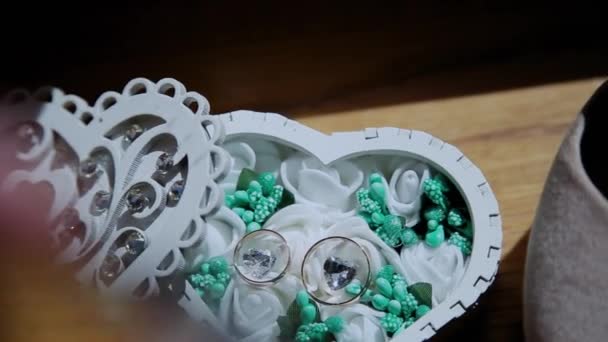 Hermosos anillos de boda en una caja, resplandor solar
. - Metraje, vídeo