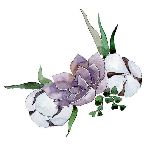 Cotton and succulent flowers. Floral isolated bouquet composition. Watercolor background illustration set. - Photo, Image