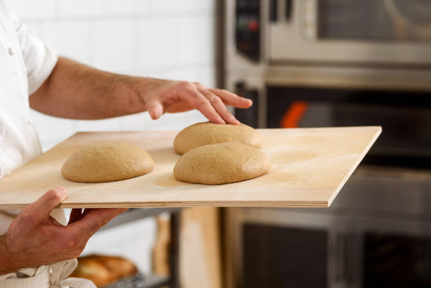 Raw bread loaves - Foto, Imagen