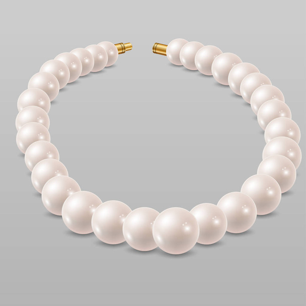 White pearl necklace - Vector, Image