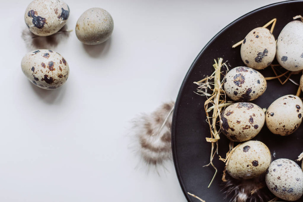 Raw quail eggs on black plate on white background - Foto, afbeelding