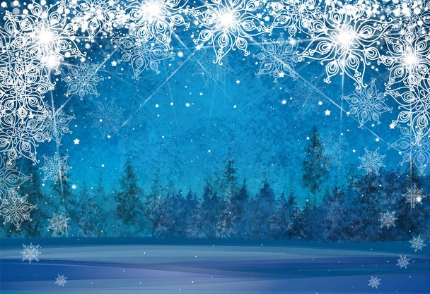 Vector winter wonderland background. Christmas card. - Vector, Image