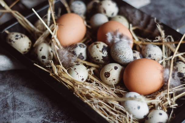 Raw quail, chicken eggs on black plate, easter concept, dark concrete background, top view,  - Foto, Imagen