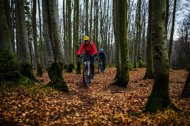 山自転車に乗る女秋山森林風景の中の自転車に乗って。女性サイクリング Mtb 流れ道のトラック。アウトドア スポーツ活動. - 写真・画像