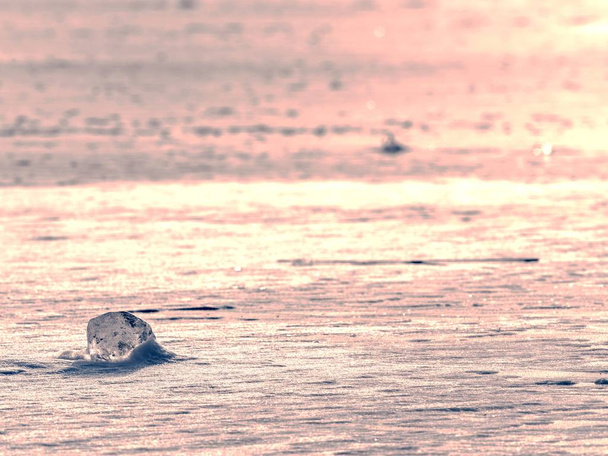 Шматочки льодовика шельф льоду. Лід вільно плаває у відкритій морській воді
. - Фото, зображення