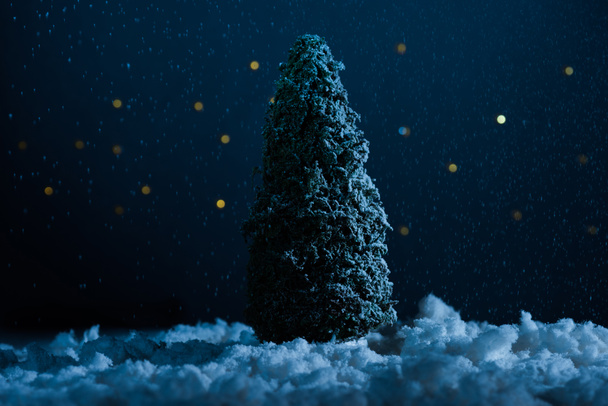 夜に雪の中でミニチュア クリスマス ツリー立ってのクローズ アップ ショット - 写真・画像