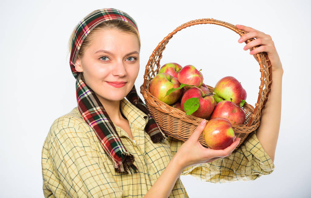 Nainen kyläläinen kuljettaa kori luonnollisia hedelmiä. Nainen puutarhuri maalaismainen tyyli pidä kori omenat valkoisella pohjalla. Nainen viljelijä puutarhuri tietää, miten kokki monia reseptejä omenoita. Cook resepti käsite
 - Valokuva, kuva