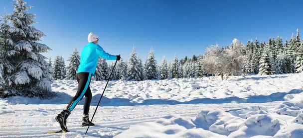 A woman cross-country skiing in the wintry forest - Photo, Image