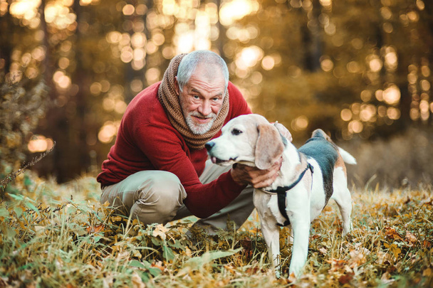 A senior man with a dog in an autumn nature at sunset. - Fotoğraf, Görsel