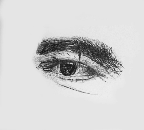 Handgezeichnetes menschliches Auge eines alten Mannes mit dicken Augenbrauen - detaillierte Bleistiftskizze - Foto, Bild