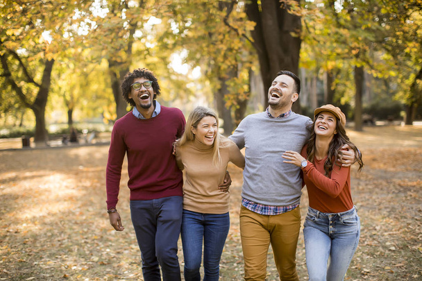 Monirotuiset nuoret kävelevät syksyllä puistossa ja hauskaa
 - Valokuva, kuva