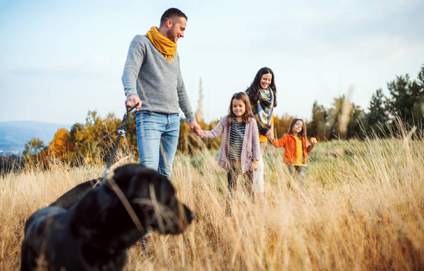 Nuori perhe, jolla on kaksi pientä lasta ja koira kävelyllä syksyllä luonto
. - Valokuva, kuva
