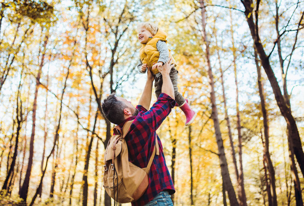 A mature father lifting a toddler son in the air in an autumn forest. - 写真・画像