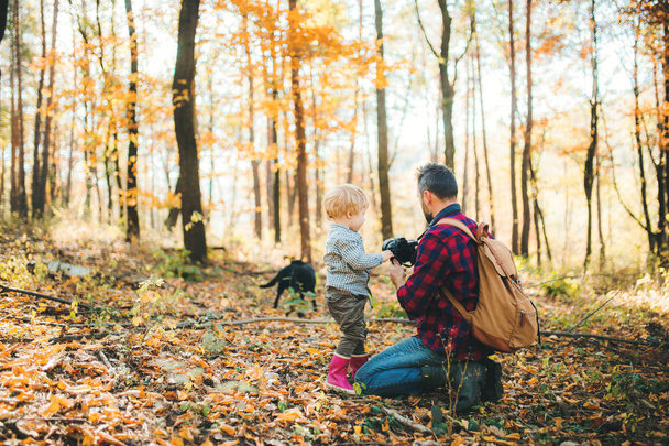 A mature father and a toddler son in an autumn forest, taking pictures with a camera. - Valokuva, kuva