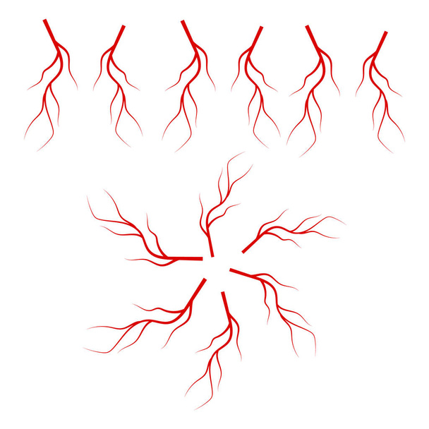 Φλέβες του ανθρώπινου αίματος. Ανθρώπινο αίμα αρτηριακό σύστημα ανατομία - Διάνυσμα, εικόνα