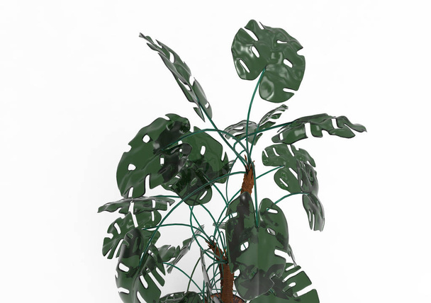зелене листяне дерево ізольований фон
 - Фото, зображення