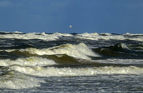 tempête sur la mer baltique - Photo, image