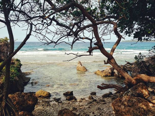 Aldeia de Walarano, Ilha Malekula / Vanuatu - 9 JUL 2016: deslumbrante praia oceânica tropical de costa marítima com árvores pendentes
 - Foto, Imagem