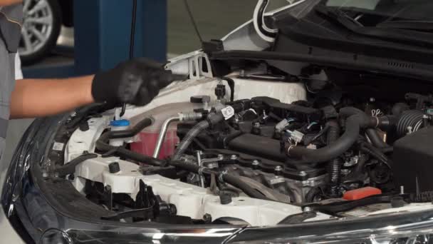 Ammattimainen mekaanikko tarkistaa öljyn taso ja moottori auton
 - Materiaali, video