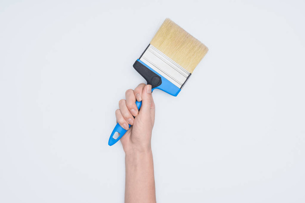 cropped shot of woman holding paint brush tool isolated on white - Photo, Image