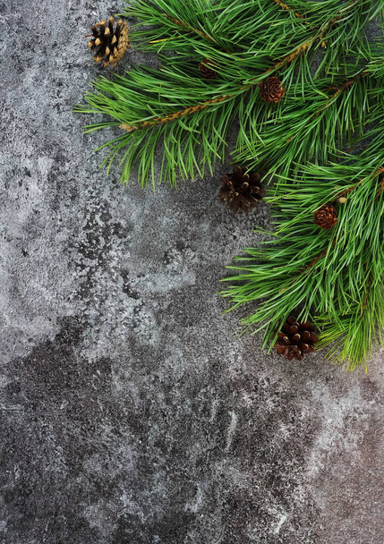 pine branches with cones on dark grey background.Holiday Christmas fir branch.Top view. Copy space - 写真・画像