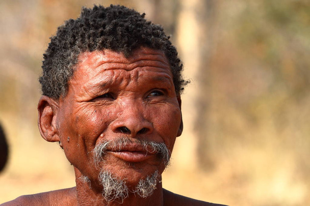 ナミビアのサン人 - 写真・画像
