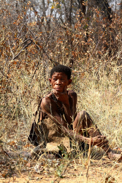O povo San na Namíbia
 - Foto, Imagem