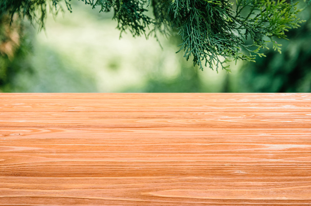 template of orange wooden floor on blurred green background with pine leaves - Foto, afbeelding