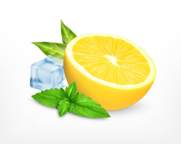 Fresh lemon with leaves of mint - Vector, Image