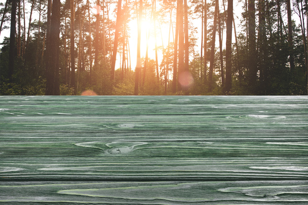 template of dark green wooden floor with pine tree forest on background - Foto, imagen