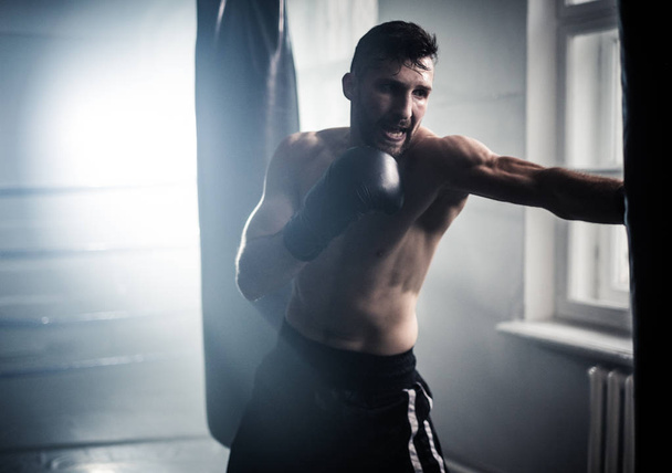 Boxer se prépare pour un dur combat
 - Photo, image