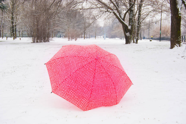 One umbrella in contrast with the white snowy ground with bare trees - Photo, image