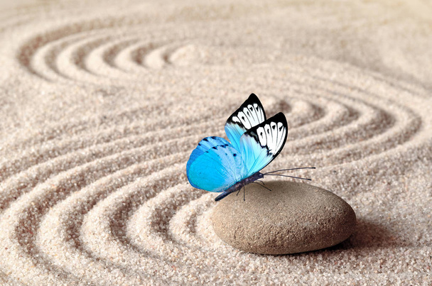 Egy élénk kék pillangó egy zen kő-szemű homok kör mintázattal. - Fotó, kép