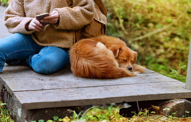 Femme voyageur tient smartphone, tout en se relaxant à l'extérieur pendant ses vacances de voyage. Femme voyage avec son chien
. - Photo, image
