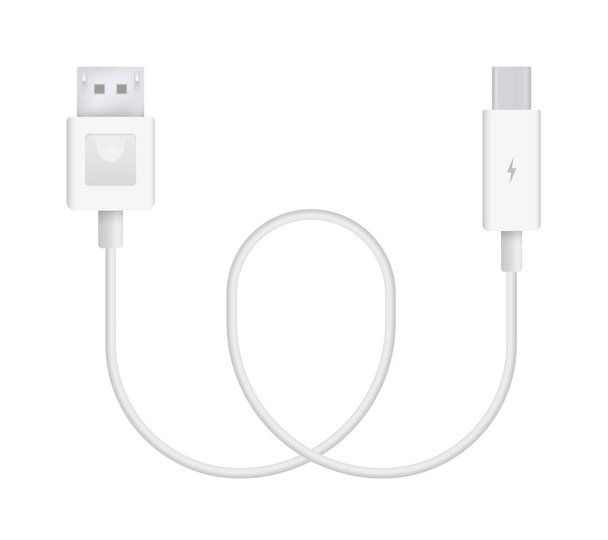The realistic vector illustration of Display Port to Thunderbolt 2.0. Connector or plug for connecting and charging phones, mobile devices, computers, tv, tablets, and game consoles. - Vector, Image