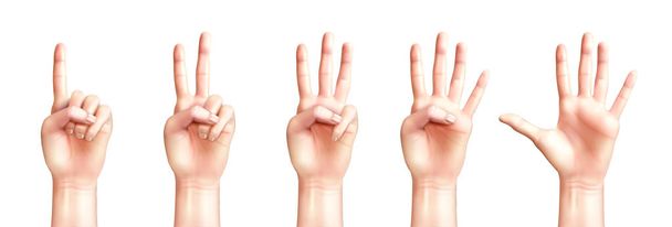 realistische Hände zählen von eins bis fünf - Vektor, Bild