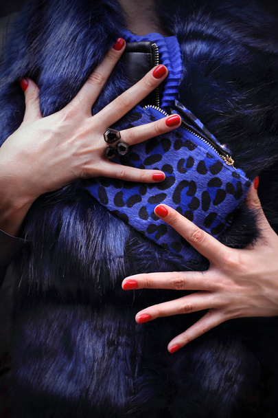 Elegáns nő. Egy elegáns nő egy kék bundát egy erszényt tart a kezében. - Fotó, kép