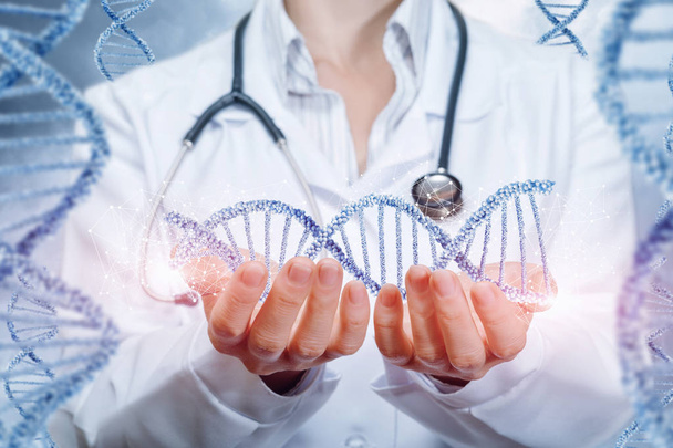 Un médecin avec un stéthoscope tient une ligne ADN dans ses mains avec les mêmes chaînes de chaque côté. Le concept est l'impact de la médecine moderne sur les générations futures
. - Photo, image