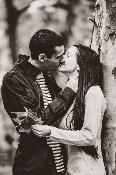 νεαρό ζευγάρι στην αγάπη φιλιά στο πάρκο Φθινόπωρο σεζόν - Φωτογραφία, εικόνα