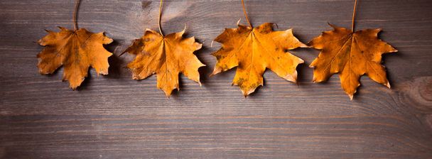 Żółty autumn klonowe listowie na podłoże drewniane. Czterech liści na tle. - Zdjęcie, obraz
