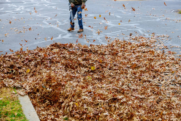 Ο άνθρωπος που εργάζεται με φυσητήρα φύλλων: τα φύλλα είναι πάνω και κάτω σε μια ηλιόλουστη μέρα - Φωτογραφία, εικόνα