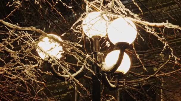 Az utcai lámpa fényében a gyönyörű hó esik - Felvétel, videó