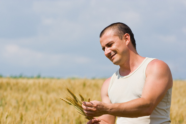 Man in wheat field - Foto, Imagen