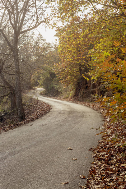 Вузький, сільські дороги в горах восени дощ день (Греція, Пелопоннес). - Фото, зображення