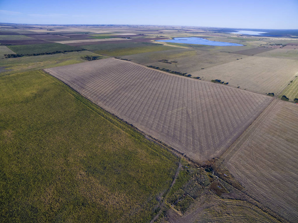 Vista aérea da terra cultivada, La Pampa, Argentina
 - Foto, Imagem