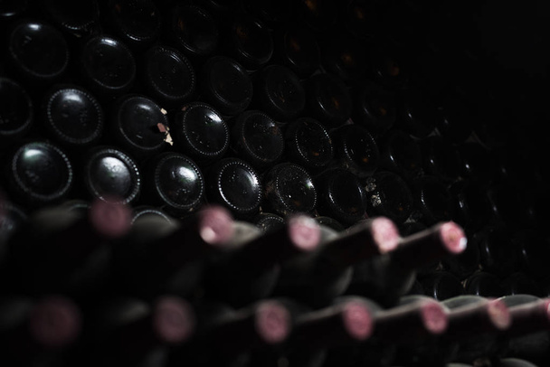 Старі пляшки червоного вина в темному підвалі
 - Фото, зображення