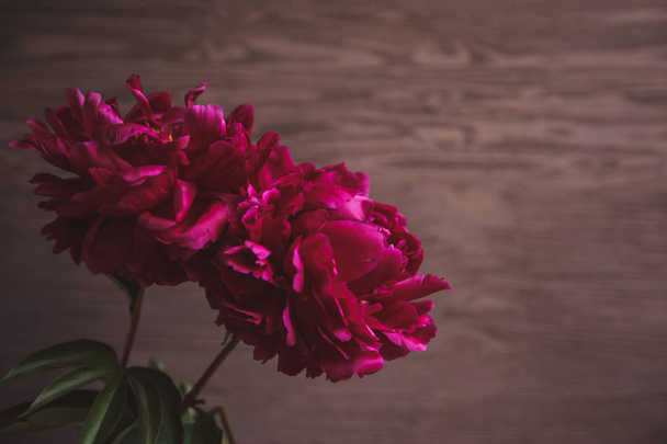 Peony flowers and petal on vintage wooden background - Foto, afbeelding