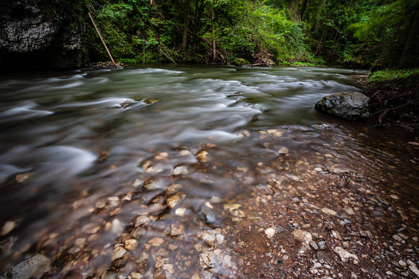 pitkä altistuminen kivinen vuoristojoki kesällä korkea vedenpinta metsässä
  - Valokuva, kuva