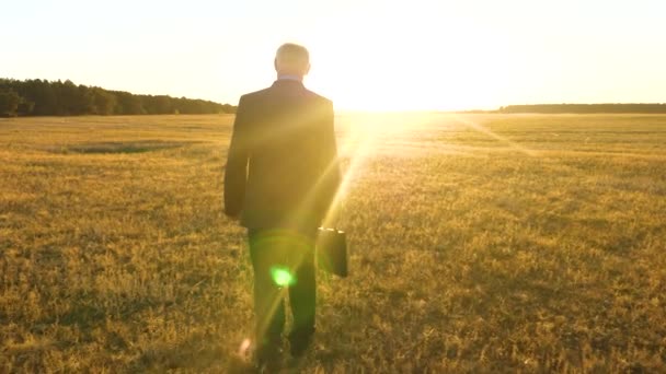 businessman in dark suit with black briefcase walking through field in rays of a bright sun for an important meeting - Footage, Video